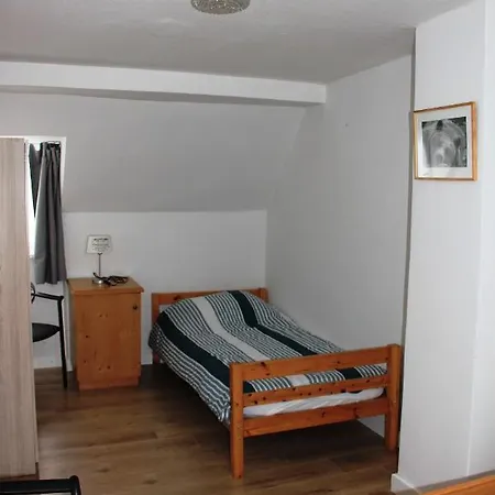 Zell - - Vakantiewoning Aan De Moezel - Duitsland *